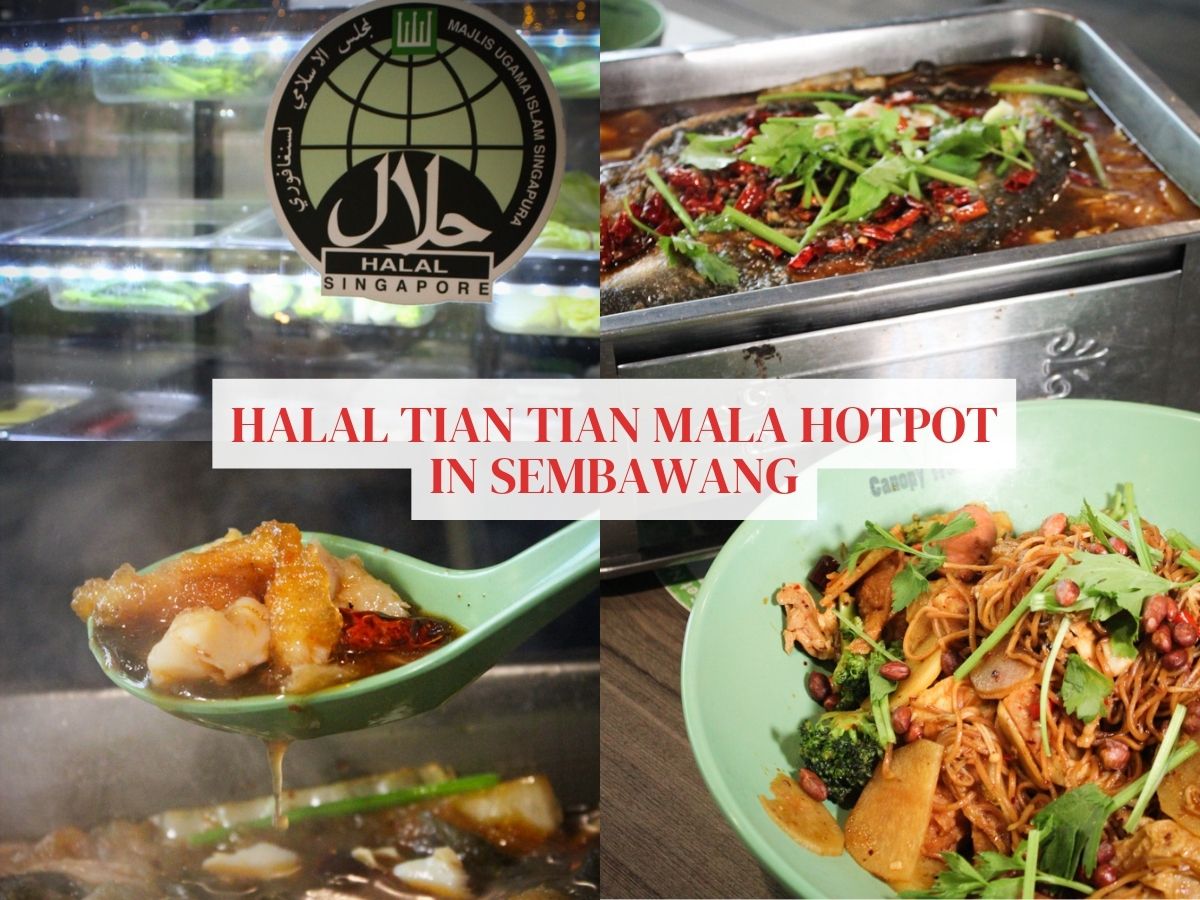 Halal Tian Tian Mala Hotpot in Sembawang serves bold and authentic flavours